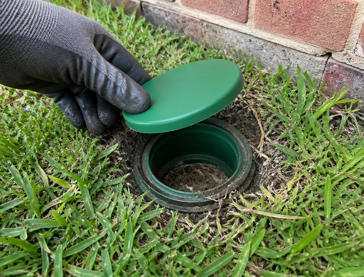 Neighbours have had termite activity, a sign checked during termite treatment & barriers