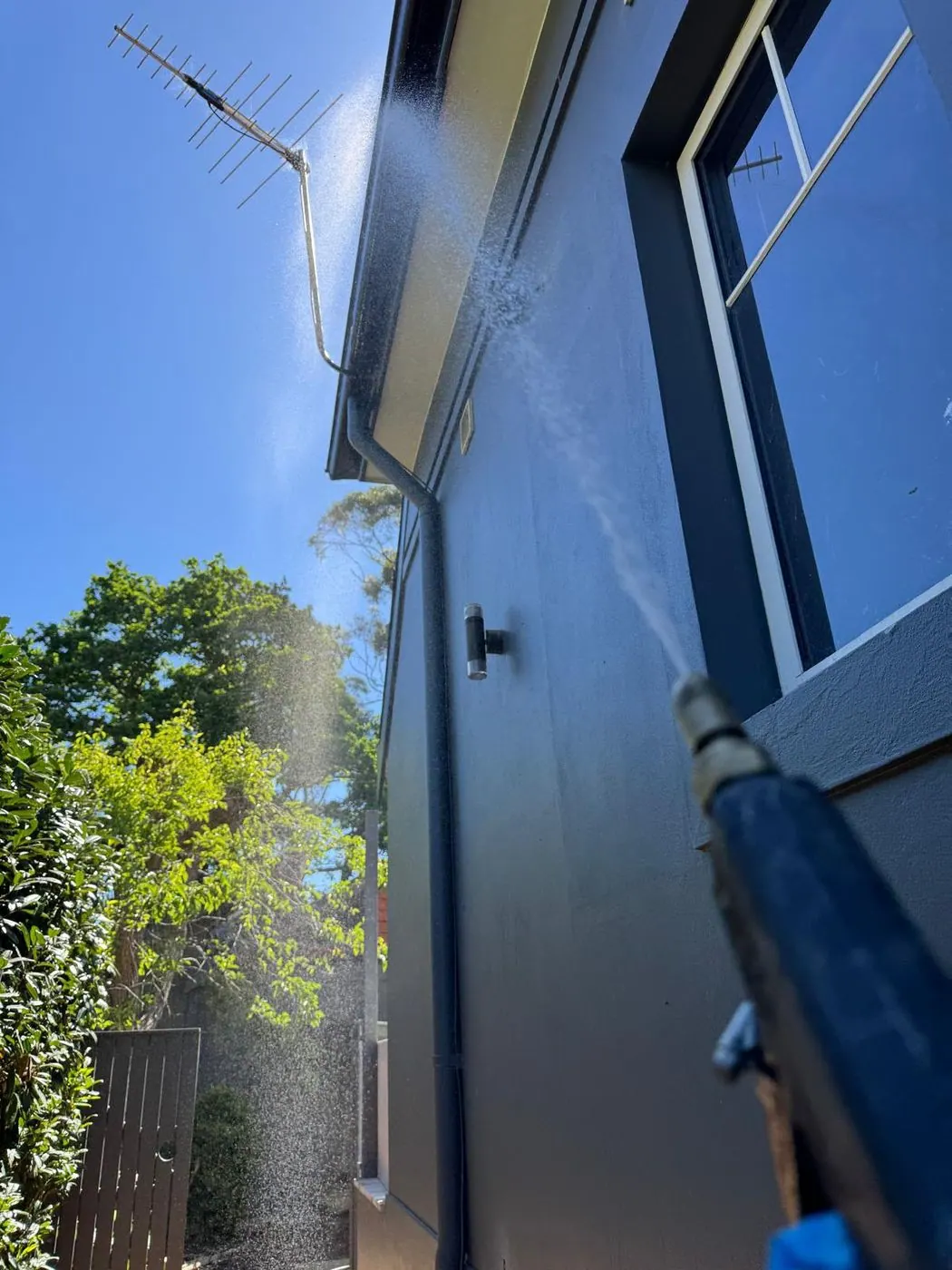 Pest control technician spraying the eaves and external walls of a Sydney home